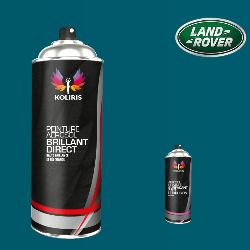 Pack 2 aérosols peinture voiture Landrover 1K brillant - Carenciel.pro
