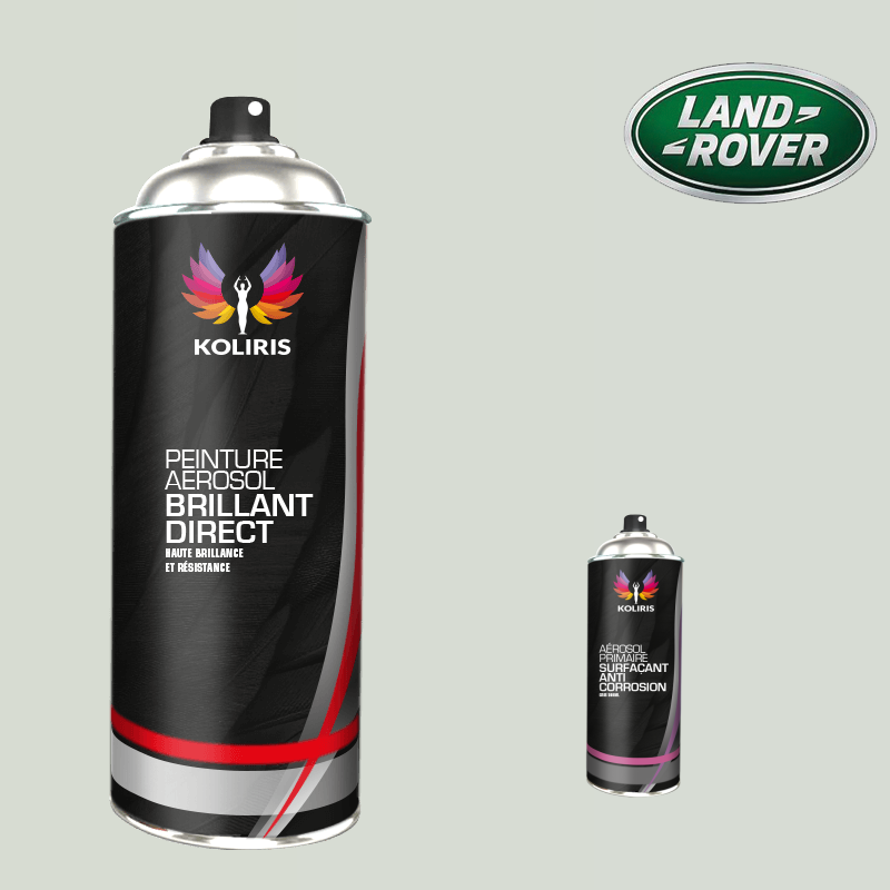Pack 2 aérosols peinture voiture Landrover 1K brillant - Carenciel.pro
