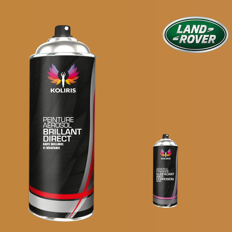 Pack 2 aérosols peinture voiture Landrover 1K brillant - Carenciel.pro