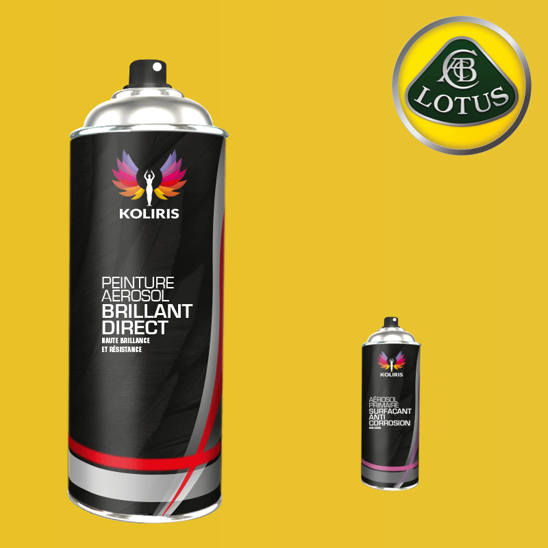 Pack 2 aérosols peinture voiture 1K brillant Lotus 400ml - Carenciel.pro