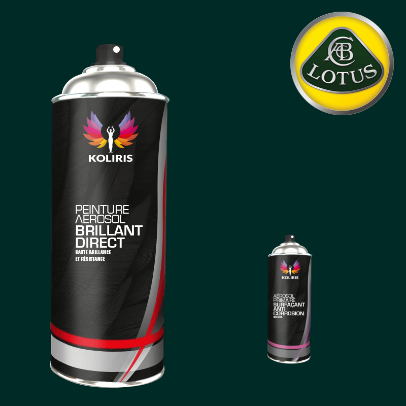 Pack 2 aérosols peinture voiture 1K brillant Lotus 400ml - Carenciel.pro