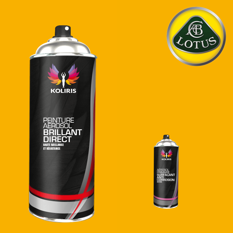 Pack 2 aérosols peinture voiture 1K brillant Lotus 400ml - Carenciel.pro