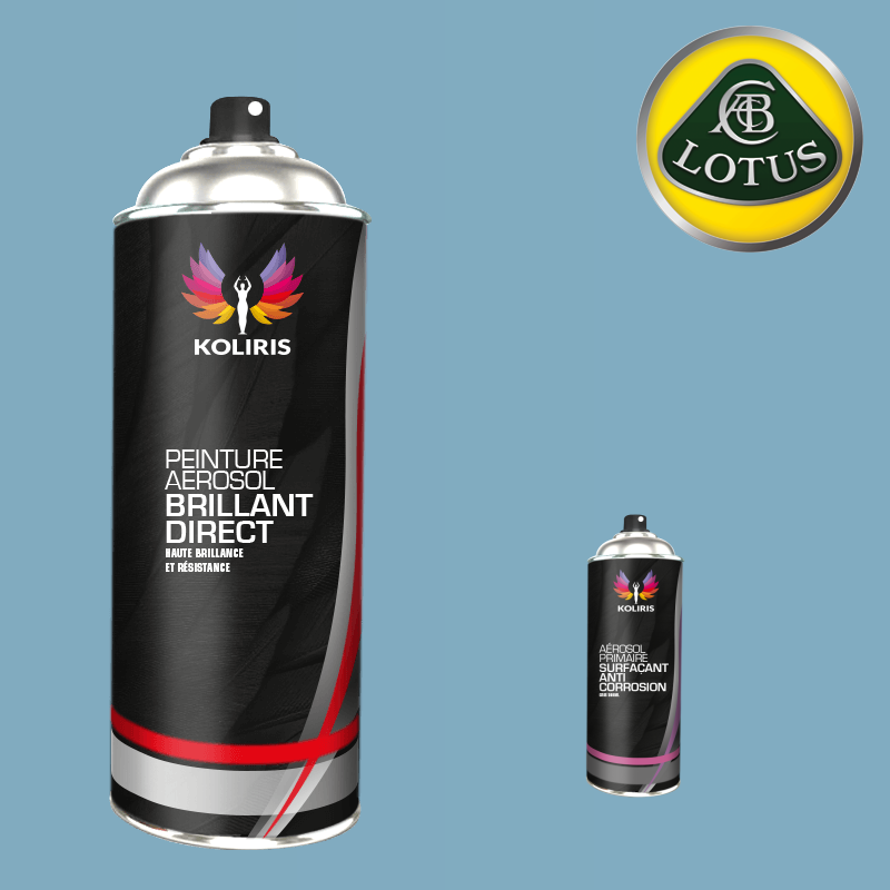 Pack 2 aérosols peinture voiture 1K brillant Lotus 400ml - Carenciel.pro