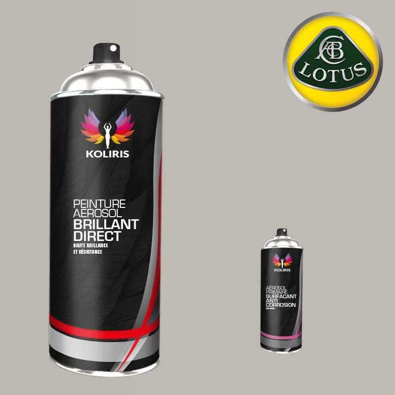 Pack 2 aérosols peinture voiture 1K brillant Lotus 400ml - Carenciel.pro