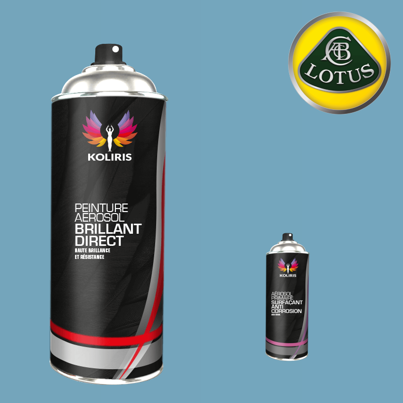 Pack 2 aérosols peinture voiture 1K brillant Lotus 400ml - Carenciel.pro
