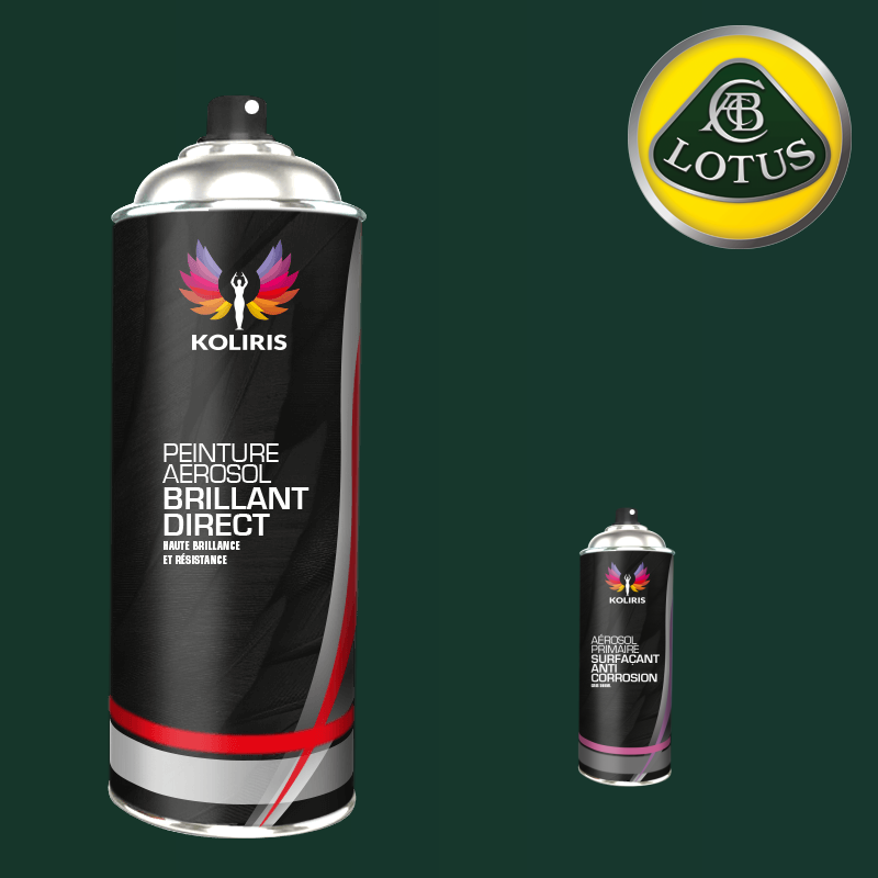 Pack 2 aérosols peinture voiture 1K brillant Lotus 400ml - Carenciel.pro