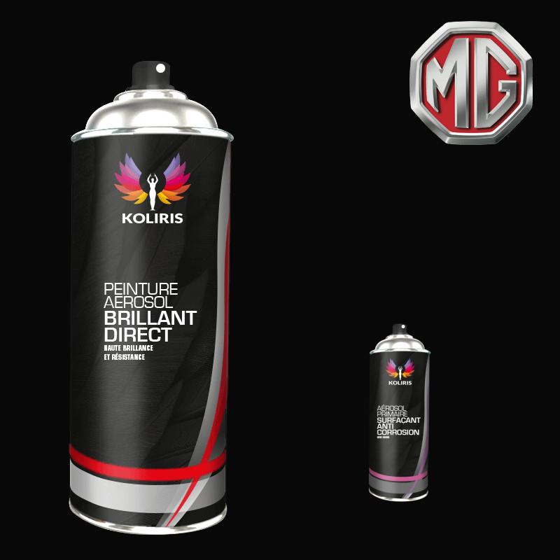 Pack 2 aérosols peinture voiture Mg 1K brillant 400ml