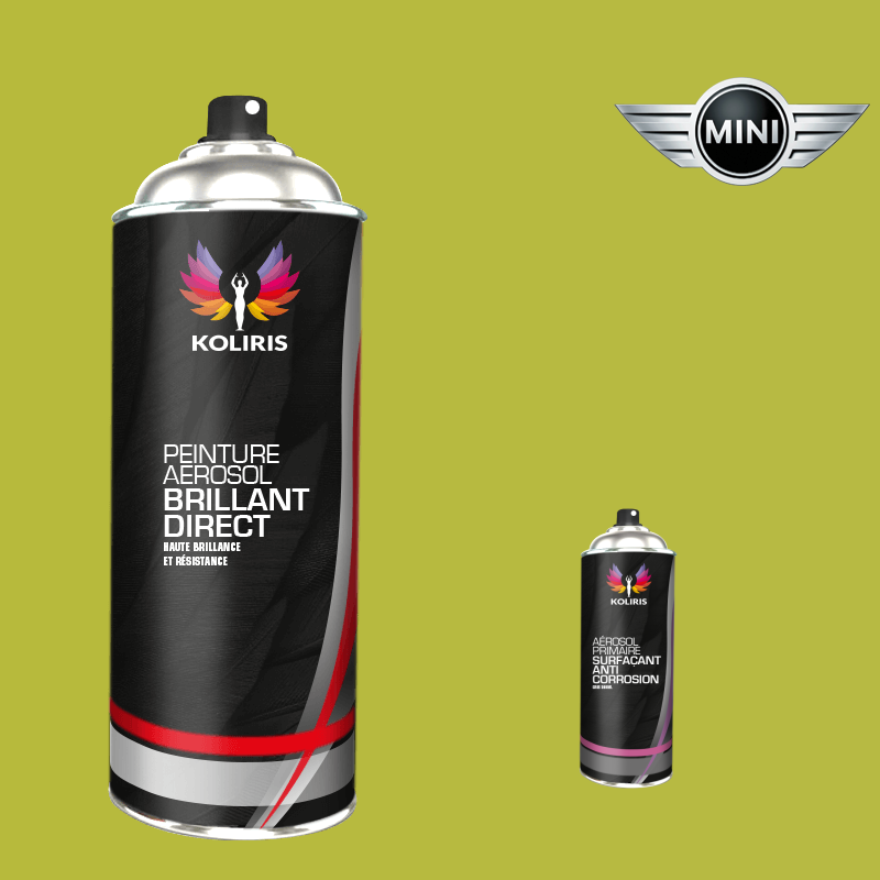 Pack 2 aérosols peinture voiture 1K brillant Mini 400ml