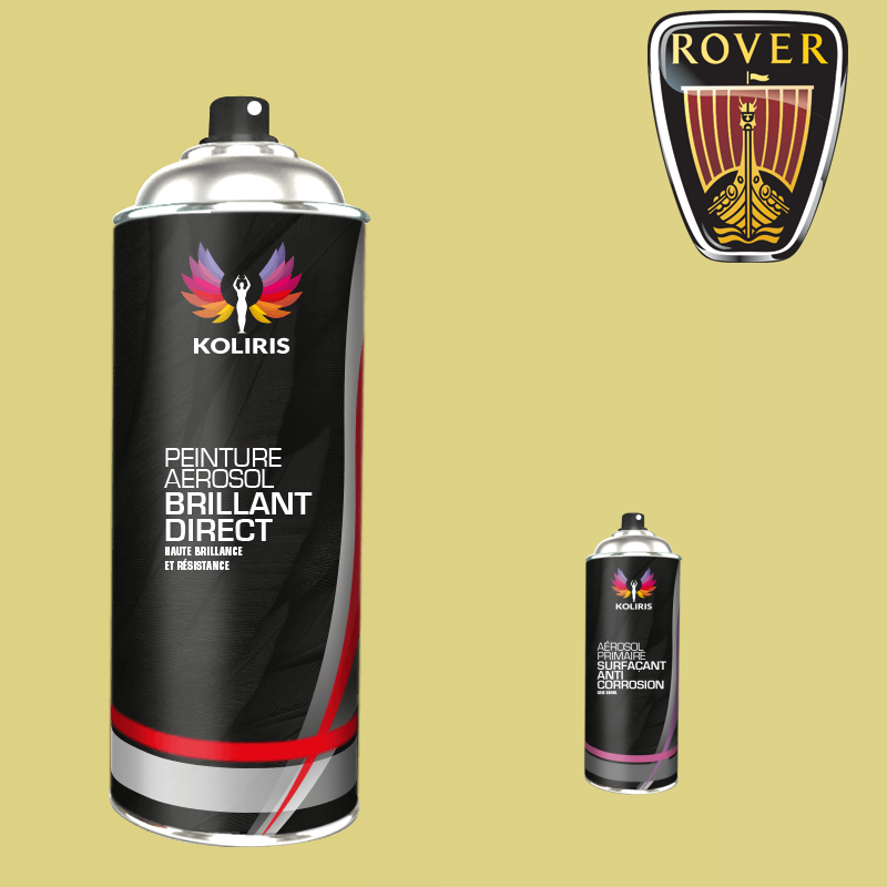Pack 2 aérosols peinture voiture 1K brillant Rover