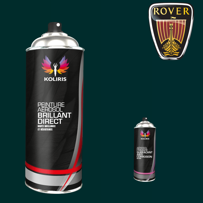 Pack 2 aérosols peinture voiture 1K brillant Rover