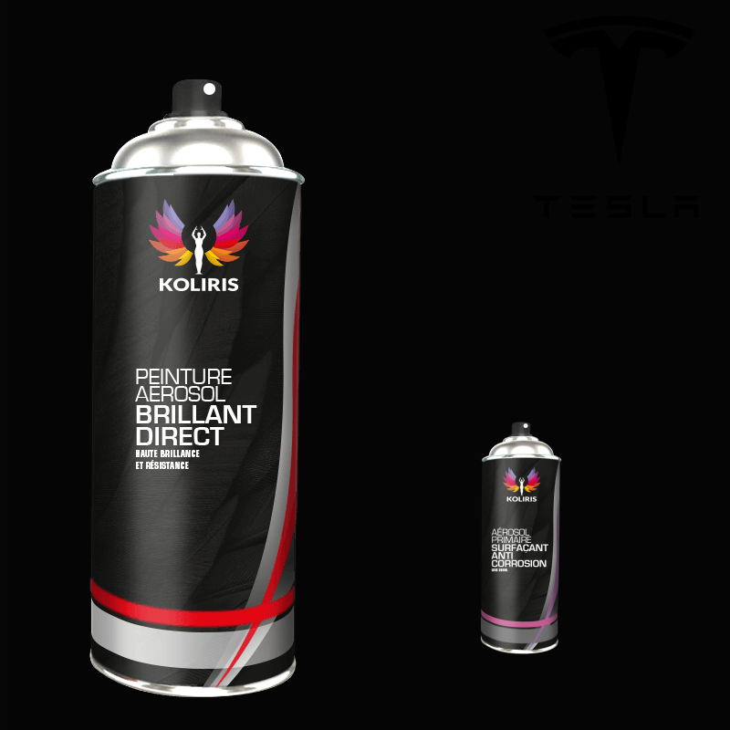 Pack 2 aérosols peinture voiture 1K brillant Tesla 400ml