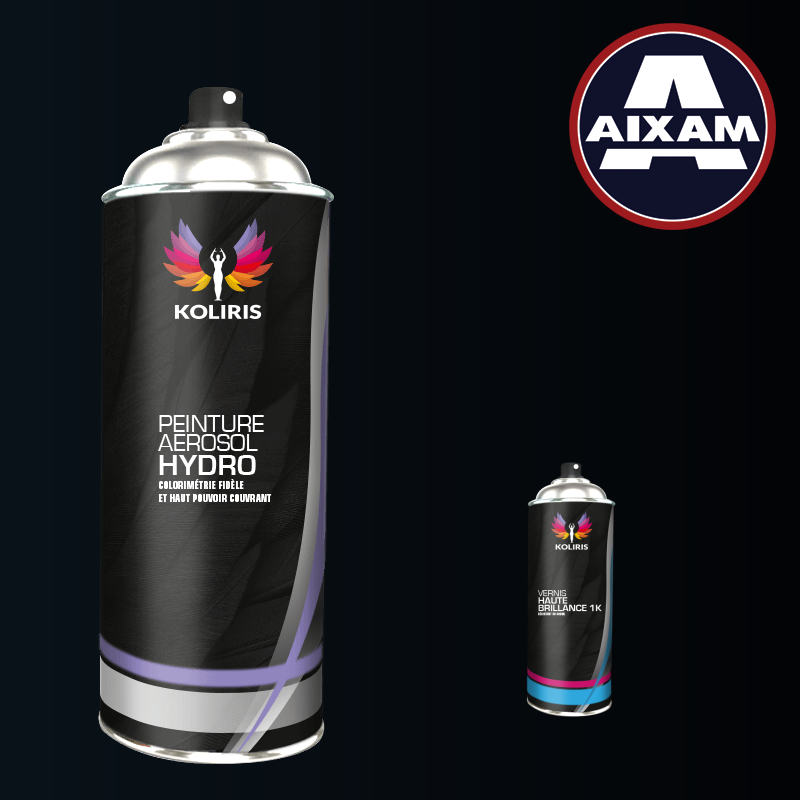 Pack 2 aérosols peinture voiture hydro Aixam 400ml