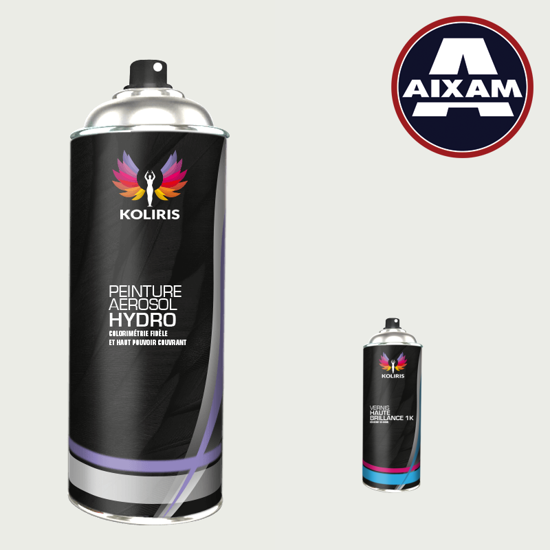 Pack 2 aérosols peinture voiture hydro Aixam 400ml