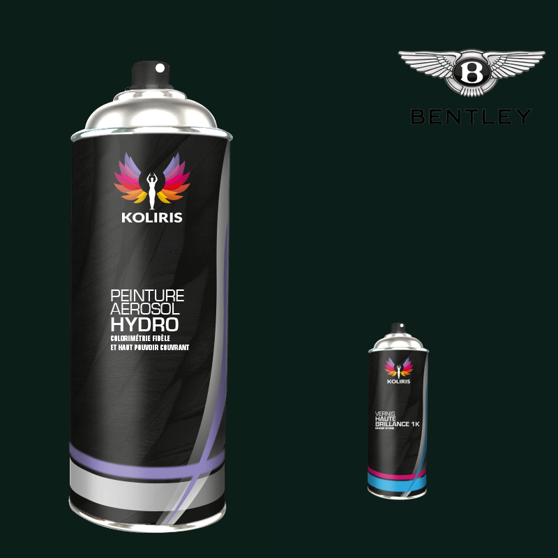 Pack 2 aérosols peinture voiture hydro Bentley - Carenciel.pro