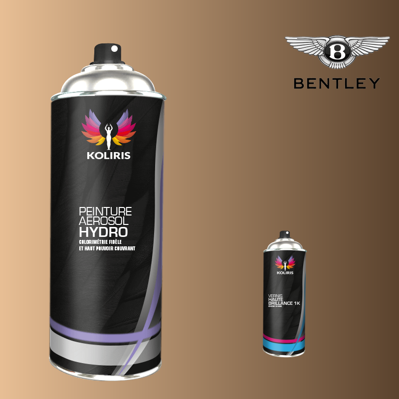 Pack 2 aérosols peinture voiture hydro Bentley - Carenciel.pro