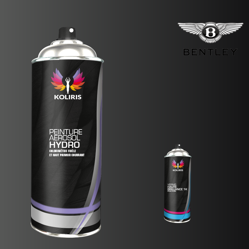 Pack 2 aérosols peinture voiture hydro Bentley - Carenciel.pro