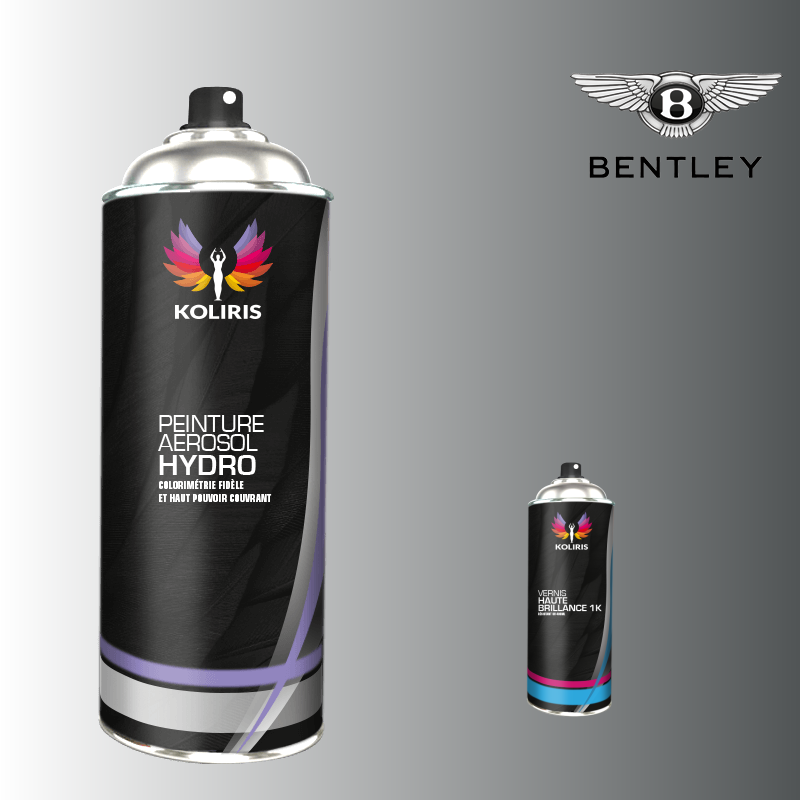 Pack 2 aérosols peinture voiture hydro Bentley - Carenciel.pro