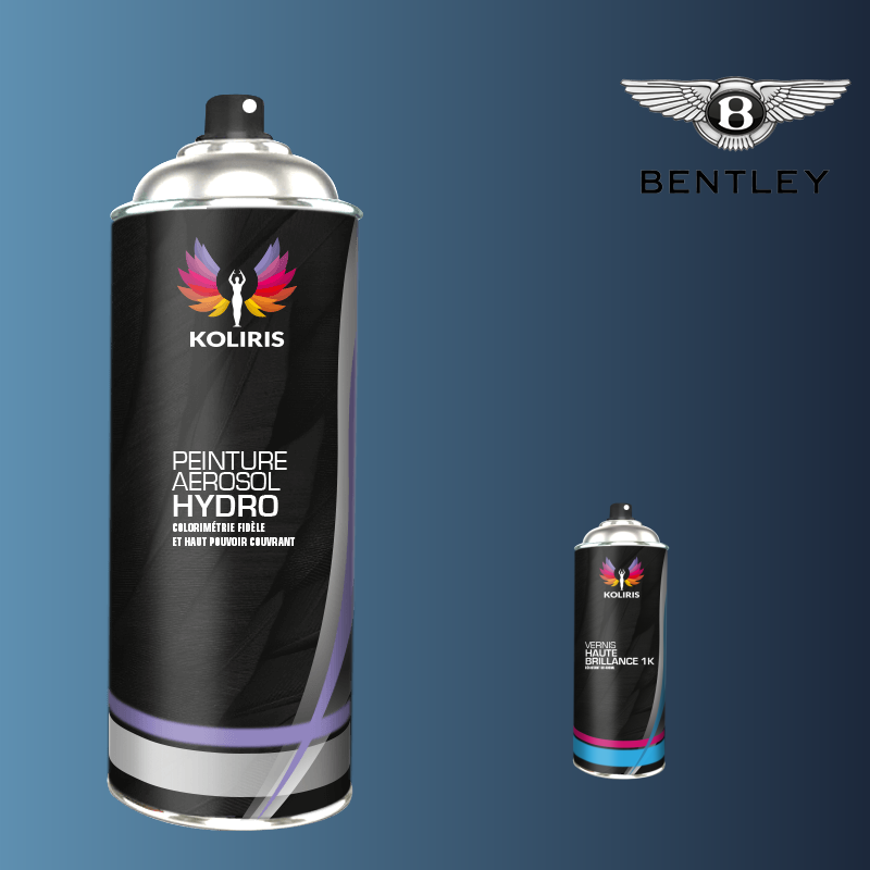 Pack 2 aérosols peinture voiture hydro Bentley - Carenciel.pro