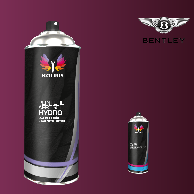 Pack 2 aérosols peinture voiture hydro Bentley - Carenciel.pro