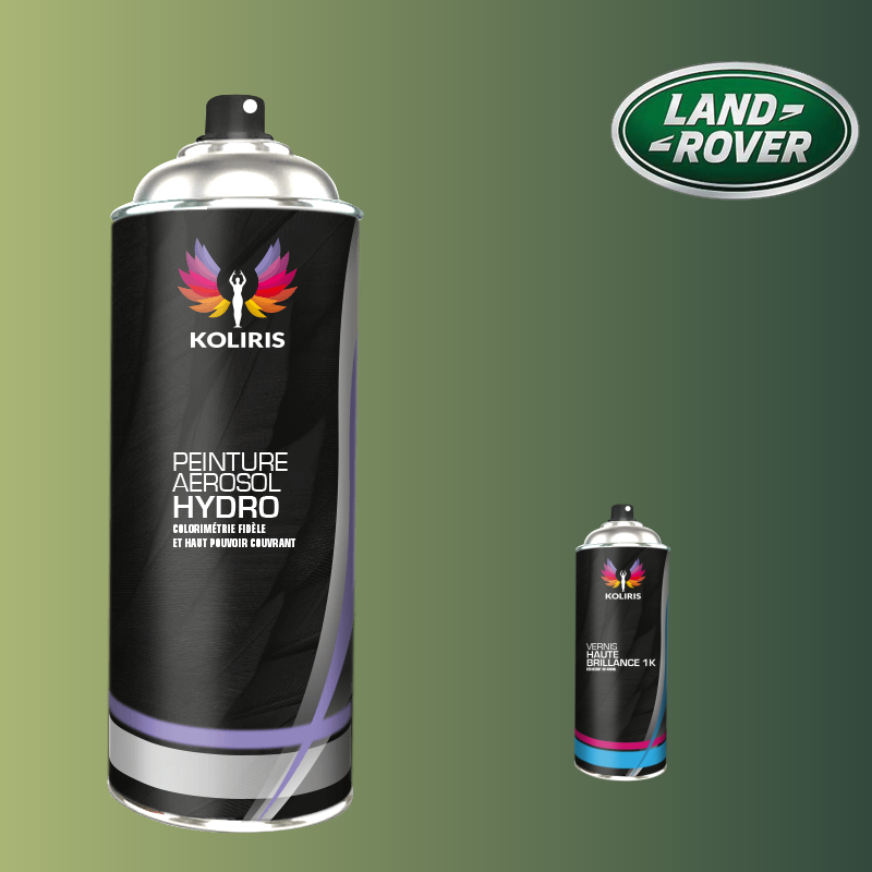 Pack 2 aérosols peinture voiture hydro Landrover 400ml