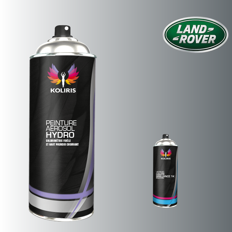 Pack 2 aérosols peinture voiture hydro Landrover 400ml