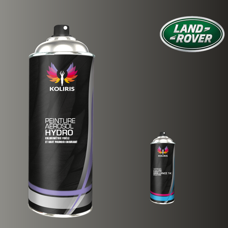 Pack 2 aérosols peinture voiture hydro Landrover 400ml