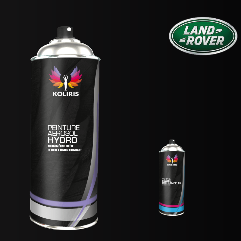 Pack 2 aérosols peinture voiture hydro Landrover 400ml