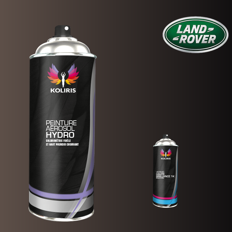Pack 2 aérosols peinture voiture hydro Landrover 400ml