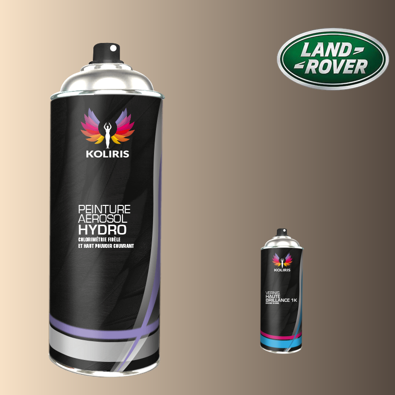 Pack 2 aérosols peinture voiture hydro Landrover 400ml