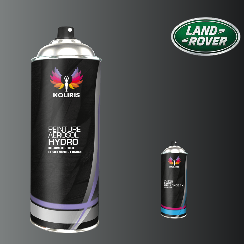 Pack 2 aérosols peinture voiture hydro Landrover 400ml