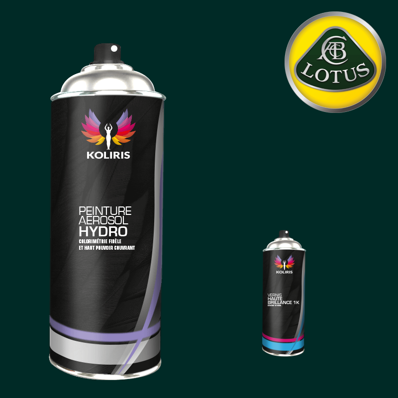 Pack 2 aérosols peinture voiture hydro Lotus