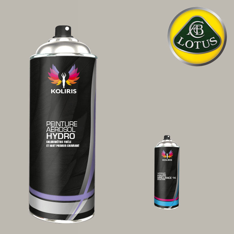 Pack 2 aérosols peinture voiture hydro Lotus