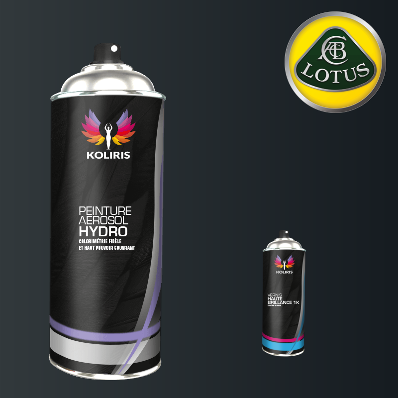 Pack 2 aérosols peinture voiture hydro Lotus