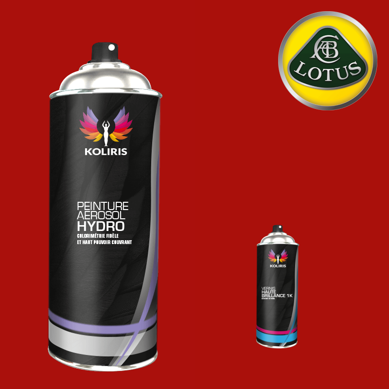 Pack 2 aérosols peinture voiture hydro Lotus