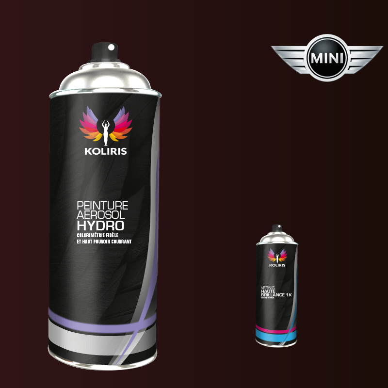 Pack 2 aérosols peinture voiture hydro Mini 400ml