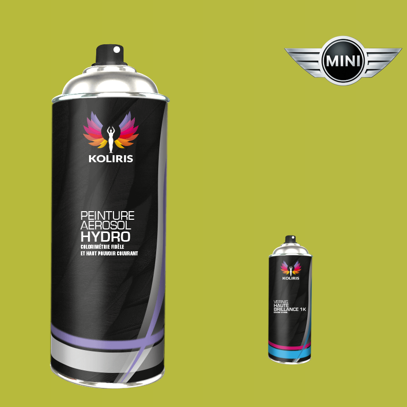 Pack 2 aérosols peinture voiture hydro Mini 400ml