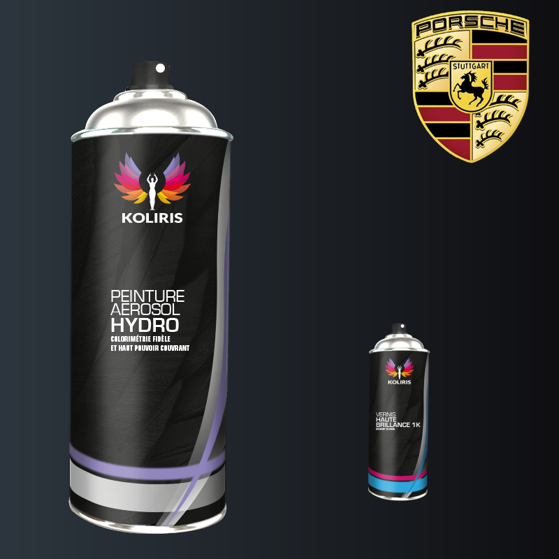 Pack 2 aérosols peinture voiture hydro Porsche