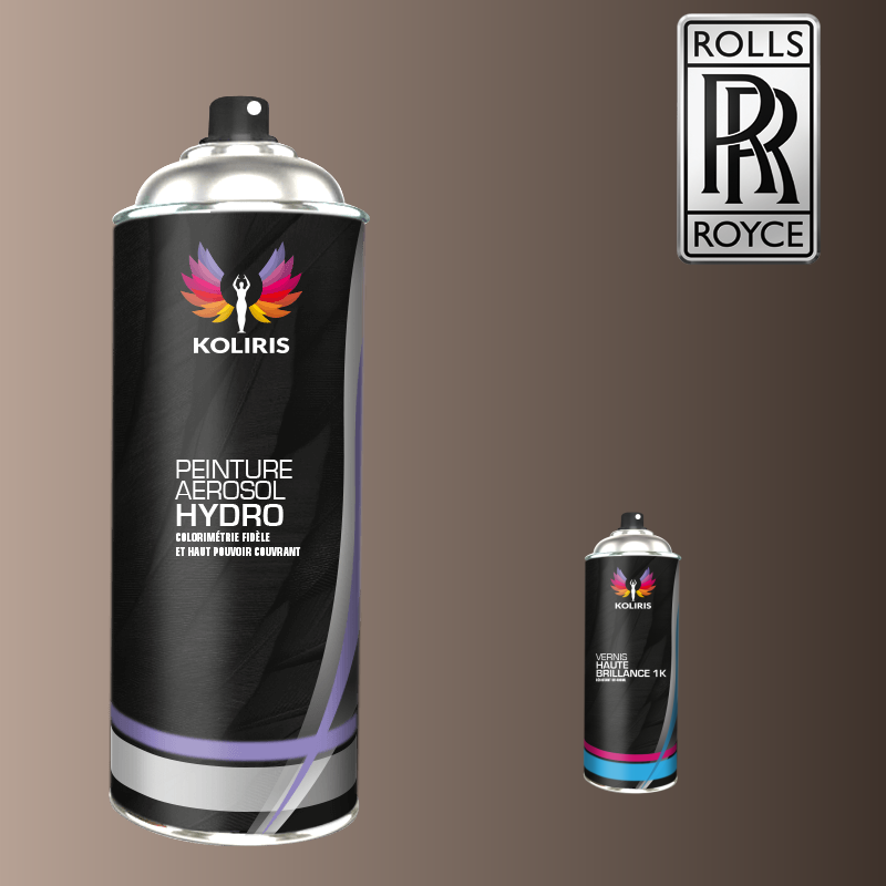Pack 2 aérosols peinture voiture hydro Rolls Royce 400ml