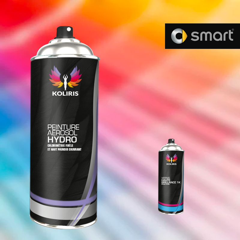 Pack 2 aérosols peinture voiture hydro Smart en promotion - Carenciel