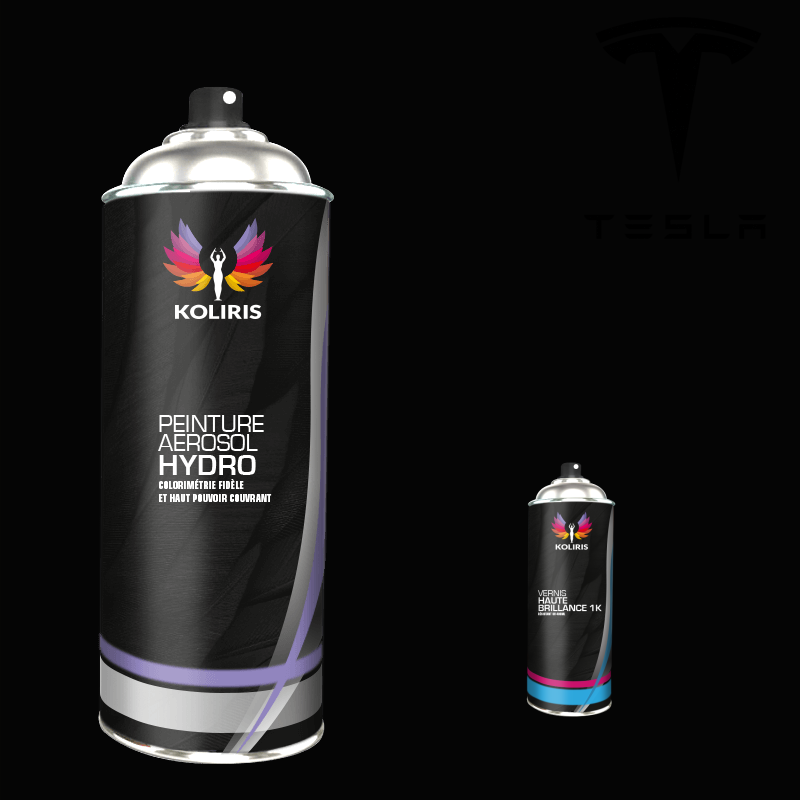 Pack 2 aérosols peinture voiture hydro Tesla 400ml