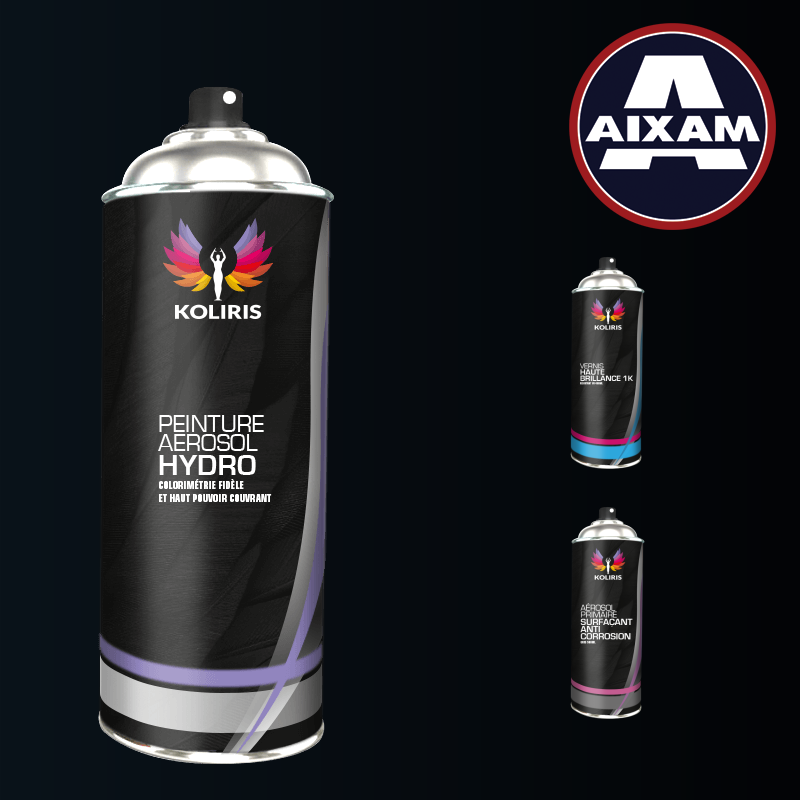 Pack 3 aérosols peinture voiture hydro Aixam