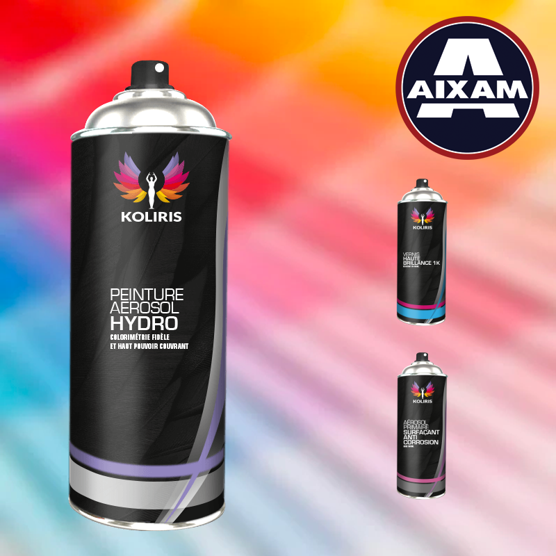 Pack 3 aérosols peinture voiture hydro Aixam
