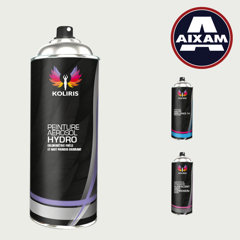 Pack 3 aérosols peinture voiture hydro Aixam