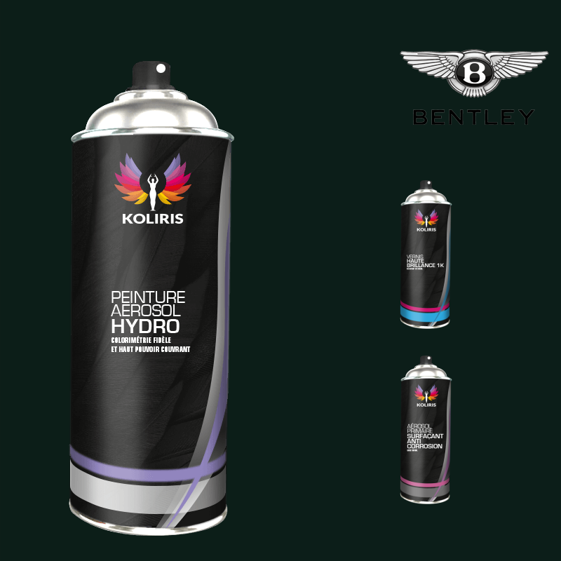 Pack 3 aérosols peinture voiture hydro Bentley