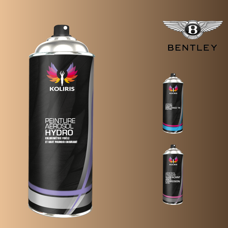 Pack 3 aérosols peinture voiture hydro Bentley