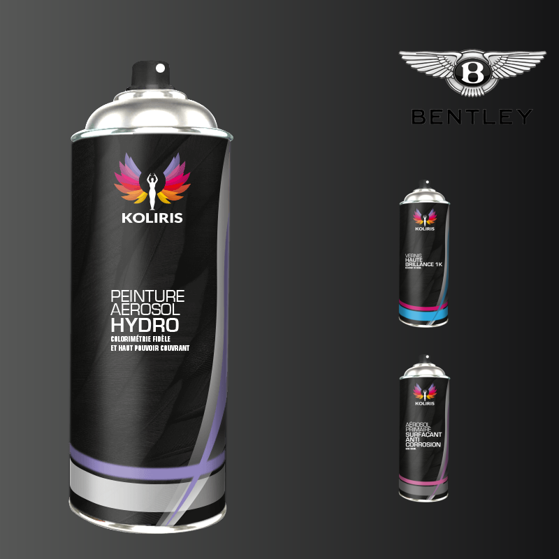 Pack 3 aérosols peinture voiture hydro Bentley