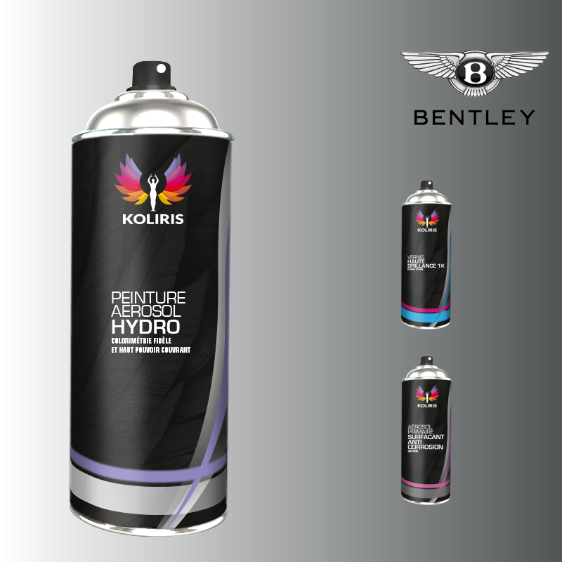 Pack 3 aérosols peinture voiture hydro Bentley