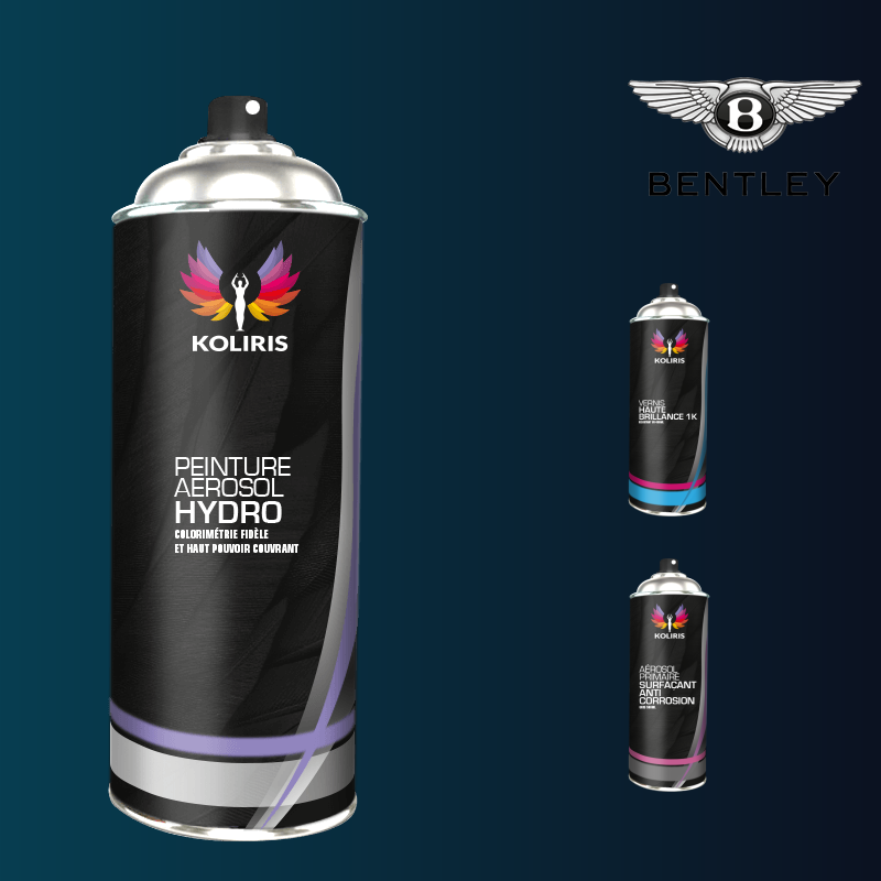 Pack 3 aérosols peinture voiture hydro Bentley