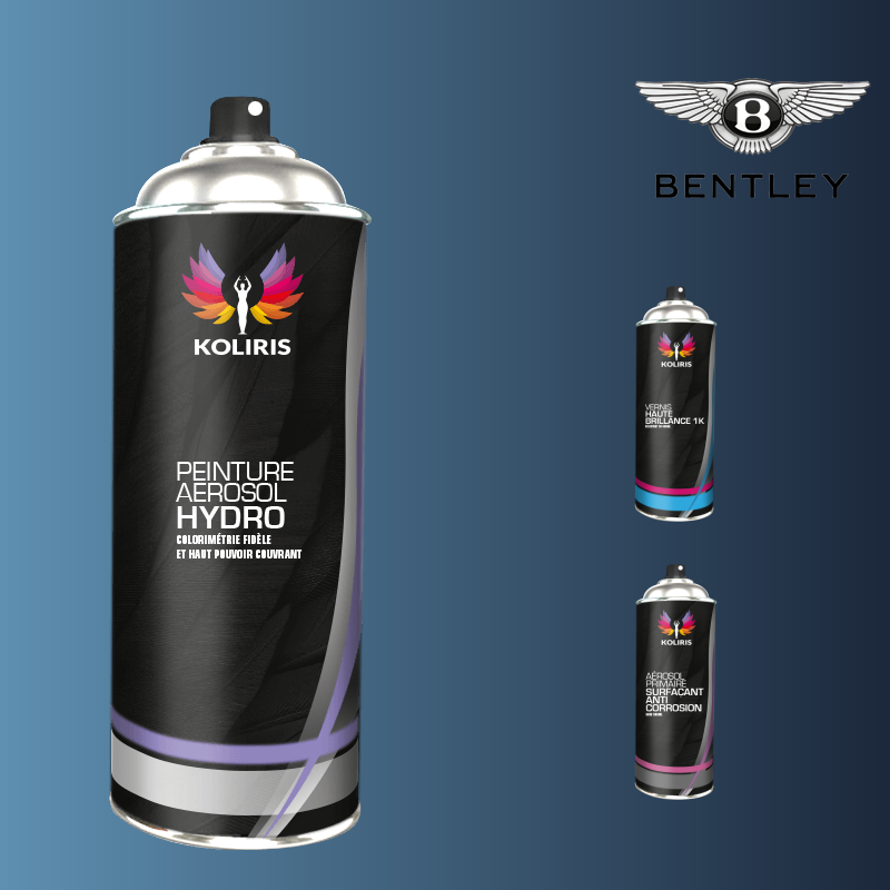 Pack 3 aérosols peinture voiture hydro Bentley