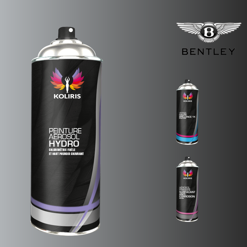 Pack 3 aérosols peinture voiture hydro Bentley